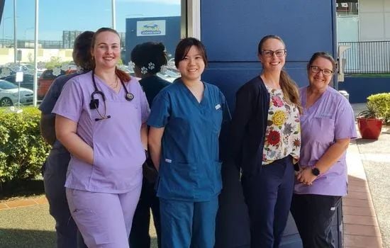 Pet Cancer Awareness Month Pet Cancer Awareness Month